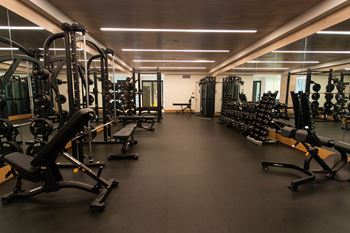 Weight lifting area